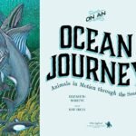 Ocean Journey