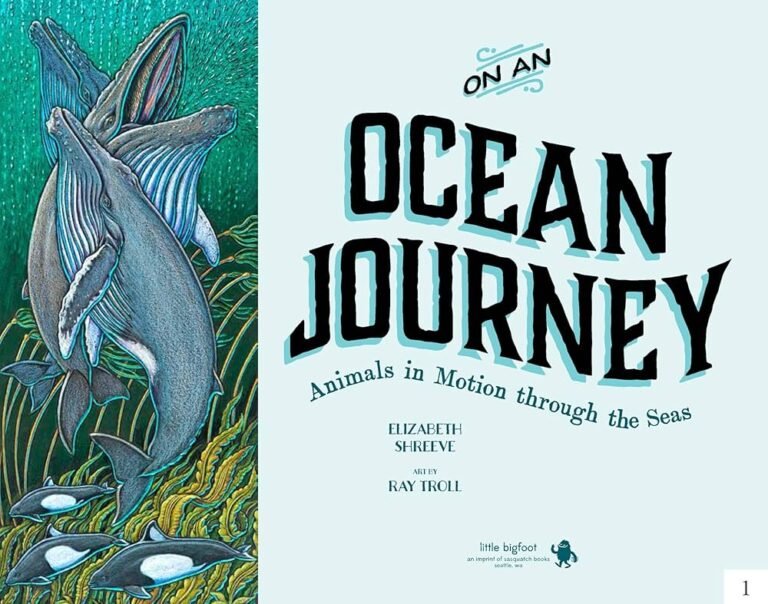 Ocean Journey
