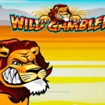 Wild Gambler